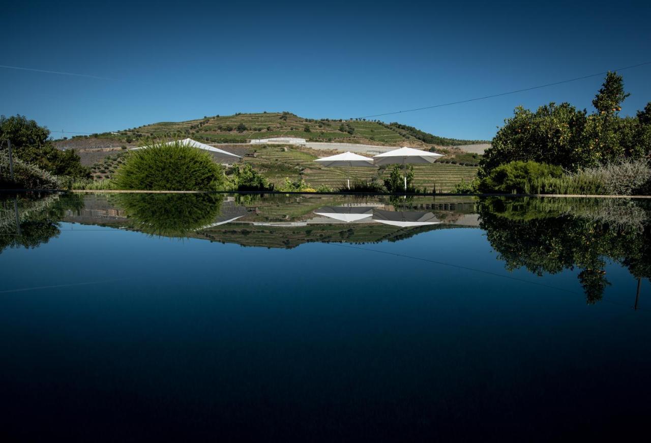 Quinta Do Vallado - Douro Wine Hotel Peso da Regua Bagian luar foto