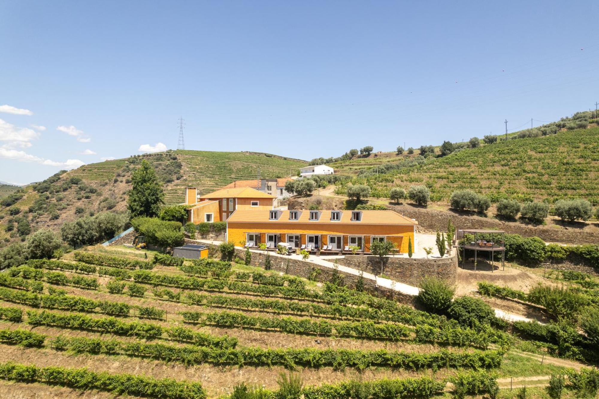 Quinta Do Vallado - Douro Wine Hotel Peso da Regua Bagian luar foto