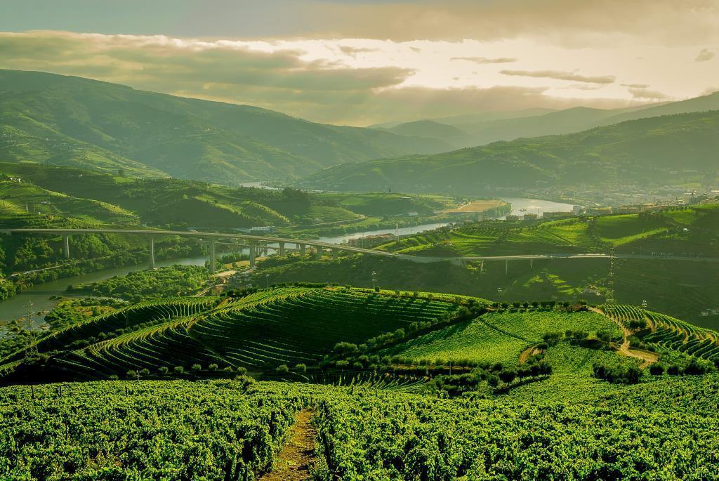 Quinta Do Vallado - Douro Wine Hotel Peso da Regua Bagian luar foto