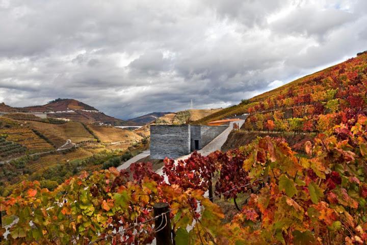 Quinta Do Vallado - Douro Wine Hotel Peso da Regua Bagian luar foto
