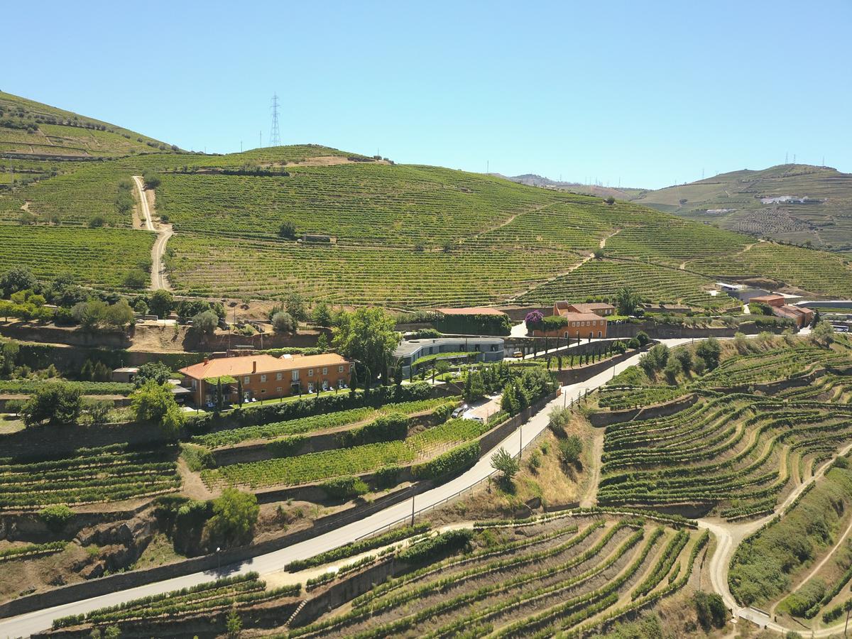 Quinta Do Vallado - Douro Wine Hotel Peso da Regua Bagian luar foto